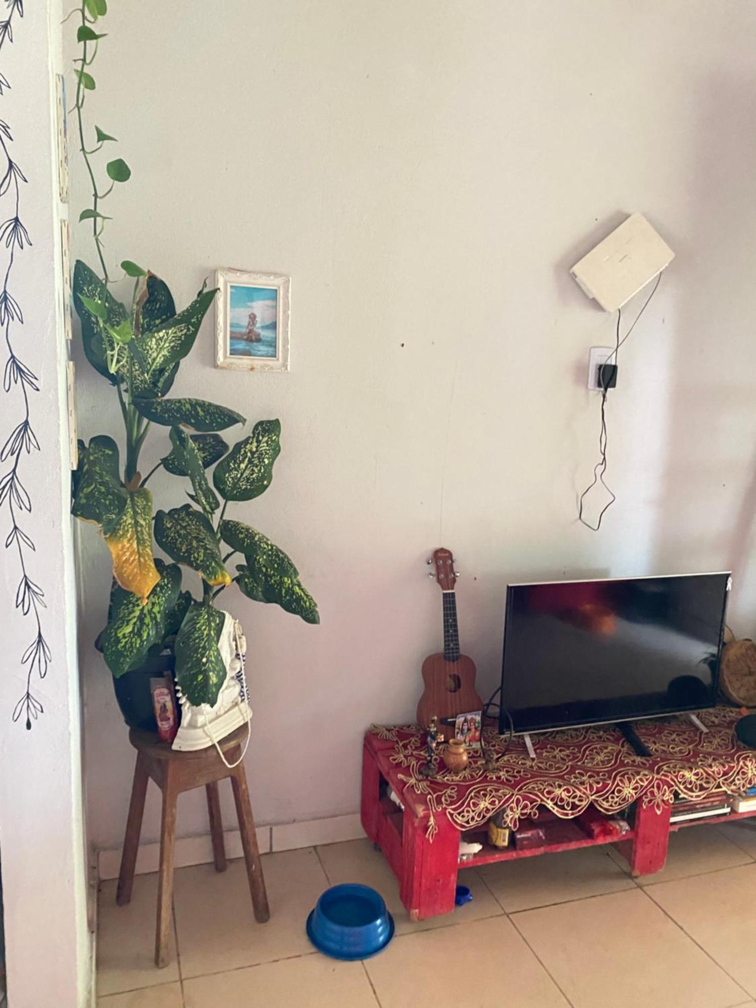 Casa Na Floresta Cosmica Ananindeua Buitenkant foto